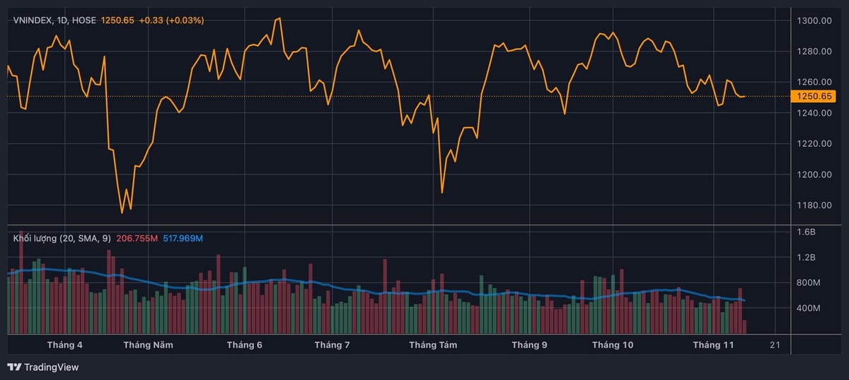 VN-Index và cơ hội đầu tư trong bối cảnh thị trường biến động