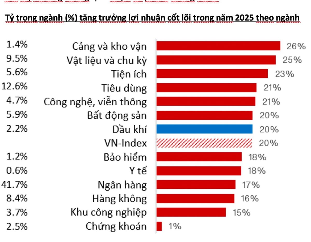 Triển vọng đầu tư 2025: Điểm sáng và thách thức