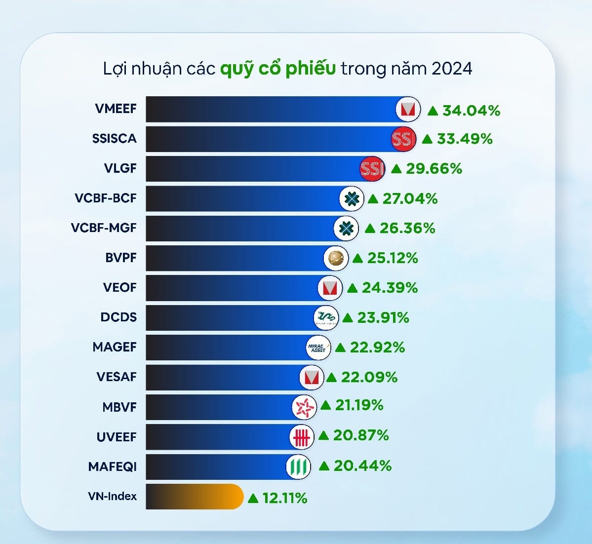 Thị trường chứng khoán Việt Nam 2024: Quỹ mở tỏa sáng giữa bối cảnh biến động