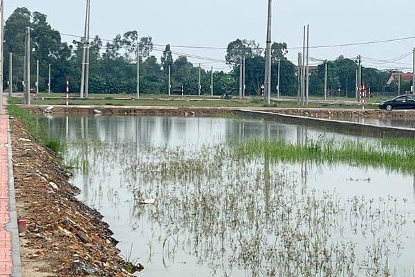 Đấu giá đất tại Nghi Phong ghi nhận sự cố và kết quả ấn tượng