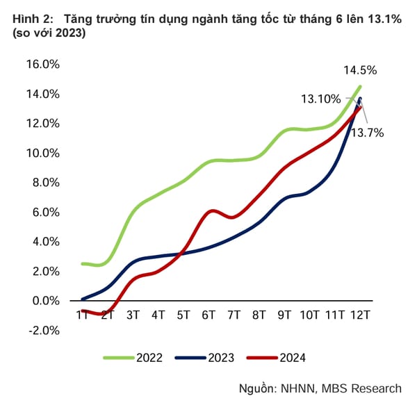 "Cổ đất" thức giấc 2025!
