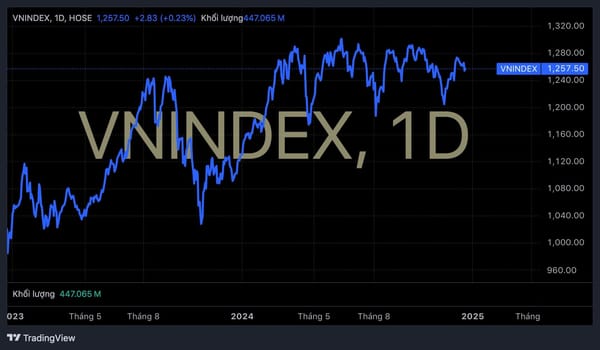 VN-Index 2025: Sẽ có điều chỉnh mạnh trước khi tăng trưởng?
