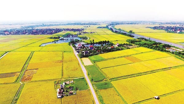 Thị trường đất nông nghiệp: Chuyển biến lớn từ Luật Đất đai 2024